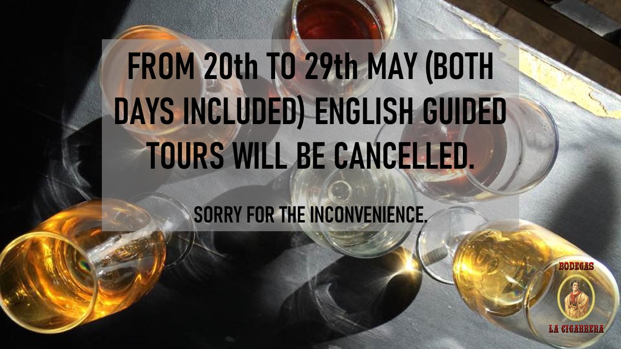 English guided tours cancelled